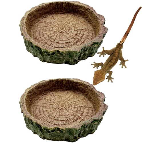 2 Pack Reptile Food Bowls, Reptile Feeding Terrarium Bowls for Bearded Dragon Lizard Frog Gecko Tortoise Hermit Crab Snail (Brown A) - color: Brown - 2 Pack M Round Bowls