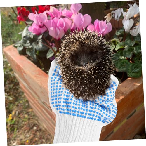 Vaguelly Thickened Gloves for Animals Scratch Resistant Gardening Gloves with Breathable Resistant Material Suitable for Handling Dogs Cats Birds Reptiles Random Color Pair Random Color