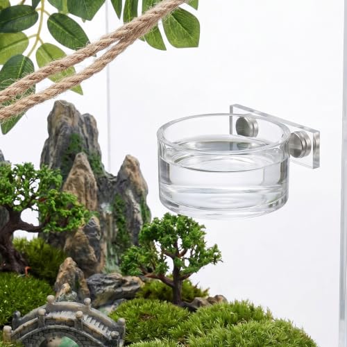 Jumping Spider Feeding Dish Set, Jumping Spider Enclosure Accessories Reptile Feeding Tongs, Magnetic Water Bowl with Dropper & Tweezer for jumpingSpider, Tarantula&Other Small Pets