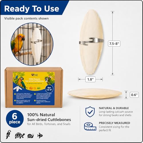 Birds LOVE 7.5-8" Cuttlebone for Birds – 100% Natural Sun-Dried Calcium Carbonate Mineral Supplement – for Parakeets, Budgies, Cockatiels, Finches & Canaries – 6 Pack with Holder – Made in Vietnam - size: 6 Count (Pack of 1)
