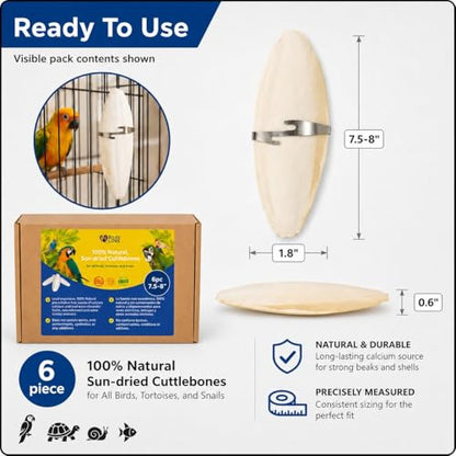 Birds LOVE 7.5-8" Cuttlebone for Birds – 100% Natural Sun-Dried Calcium Carbonate Mineral Supplement – for Parakeets, Budgies, Cockatiels, Finches & Canaries – 6 Pack with Holder – Made in Vietnam - size: 6 Count (Pack of 1)