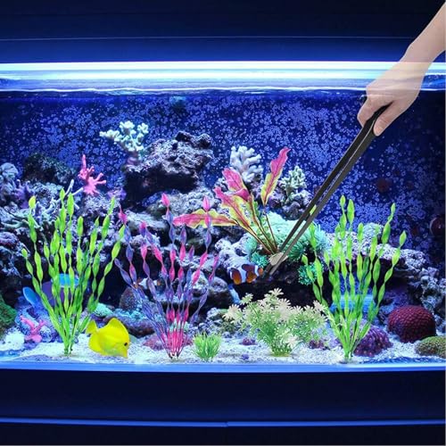 KABASI 4 in 1 Aquarium Coral Feeder Kit, 2PCS Coral Feeder with Tweezers | SPS Coral Feeder Long Arcylic Marine Reef Aquarium Syringe Liquid Fertilizer HPS Tube for Reef/Anemones/Eels/Lionfish