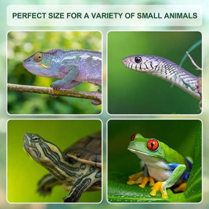 BETAZOOER Acrylic Reptile Terrarium Breeding Tank Enclosure 11.4"x7.7"x5.9" - size: Small