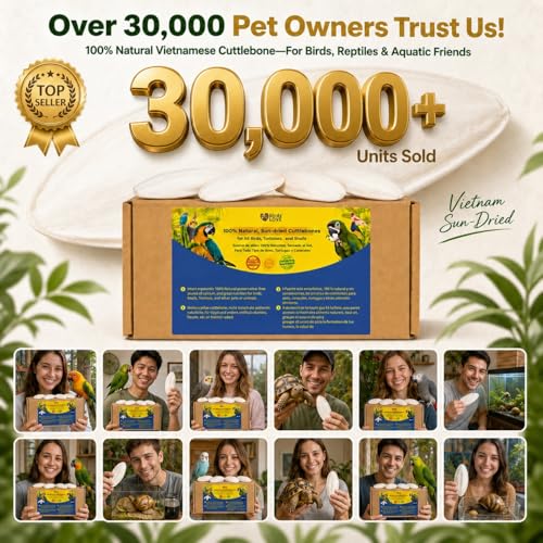 Birds LOVE 7.5-8" Cuttlebone for Birds – 100% Natural Sun-Dried Calcium Carbonate Mineral Supplement – for Parakeets, Budgies, Cockatiels, Finches & Canaries – 2 Pack with Holder – Made in Vietnam - size: 2 Count (Pack of 1)
