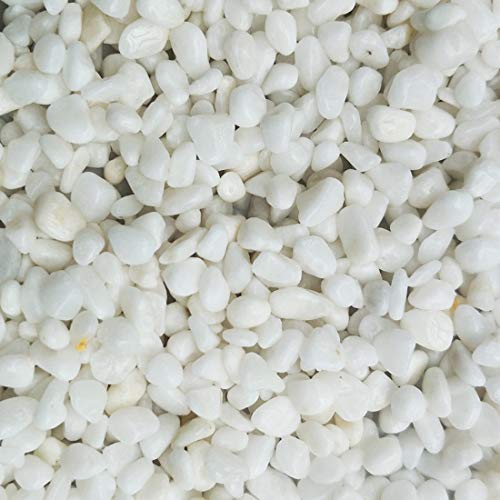Aquarium Decorative Sands White Gravel Pebbles, 2 Pounds | Fit for Aquariums, Succulent Plants, Terrarium Landscape
