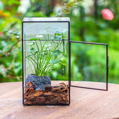 NCYP Glass Enclosure for Large Jumping Spider - 5.1" x 3.9" x 9" Front Opening Door Glass Terrarium with 3 Vent Holes, Small Snail, Insects Habitat, Black (Terrarium Only)