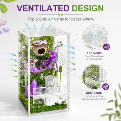 Jumping Spider Enclosure,DIY Insects Habitat,Small Reptile Terrarium Glass House Accessories Set,with Jumping Bridge Hide Water Feeder (Purple) - color: Purple