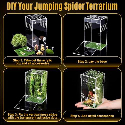 Jumping Spider Enclosure Kit – Escape-Proof Terrarium for Jumping Spiders | 3"x3"x6.2" Complete Habitat with Spider Cage, Plants, Moss, and Accessories – Ideal Starter Kit