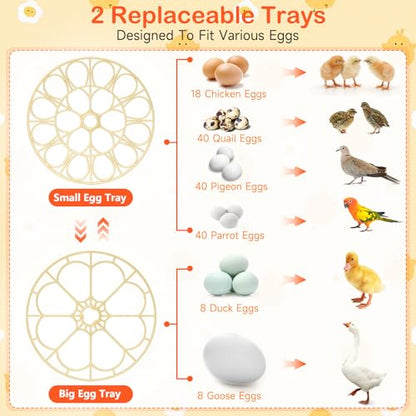 18 Egg Incubators for Hatching Eggs, Automatic Egg Turning and Humidity Control Incubator for Hatch Chicken Duck Quail Pigeon Pheasant Partridge Home Classroom Lab- - size: 18H