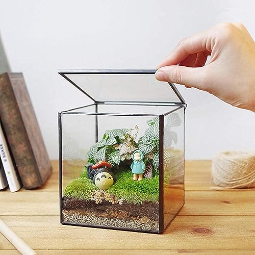Small Square Glass Terrarium with Lid, 4.3 Inch Clear Glass Planter Box for Moss, Succulents & Air Plants, Mini Fairy Garden Display Case, Black Metal Frame, Indoor Tabletop Plant Decor - size: Small Square