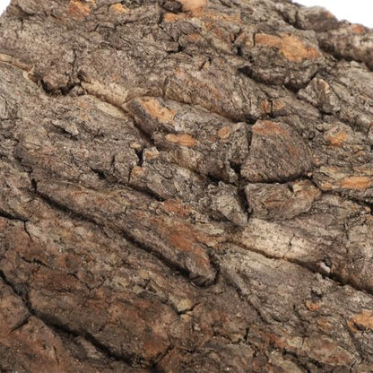 Kisangel Cork Bark Aquarium Decor 4Pcs Terrarium Bark Background Natural Reptile Tank Accessory Reusable Cuttable Cork for Fish Tank Background for Aquarium