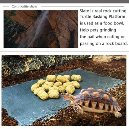 Tfwadmx Reptile Basking Platform, Tortoise Feeding Dish, Natural Rock Reptile Food Bowl Landscape Habitat Decor for Turtle Lizard Bearded Dragon Crested Gecko Snake - size: 1pcs-12"x6"