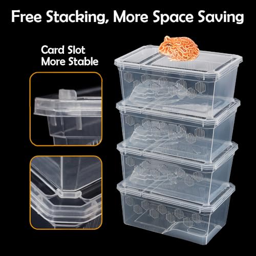 6 Pack Turtle Tank Breeding Box Horned Frog Plastic Portable Feeding Container for Small Reptile Amphibian Horned Frog Turtle Tortoise