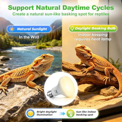 LUCKY HERP Reptile Heat Lamp Bulbs 50W, UVA Daylight Basking Bulbs 2 Pack | Fast Heating, Simulates Natural Sunlight, Ideal for Bearded Dragons Geckos Lizards Turtles Chameleons Amphibians Chickens - size: 50