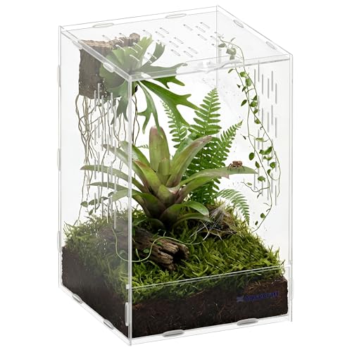 Acrylic Jumping Spider Enclosure, 7.48 x 7.87 x 11.81 in Clear Terrarium | Front-opening ventilated habitat for jumping spiders, small spiders and slow-moving invertebrates; clear acrylic display. - size: 7.48 x 7.87 x 11.81 inches（19x20x30cm）