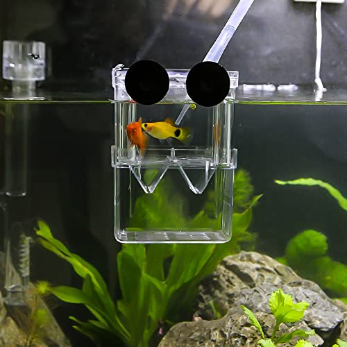 Aquarium Fish Breeder Box Plastic Fish Isolation Breeding Box Hatching Incubator Box for Baby Fishes Shrimp Clownfish Guppy - size: Medium