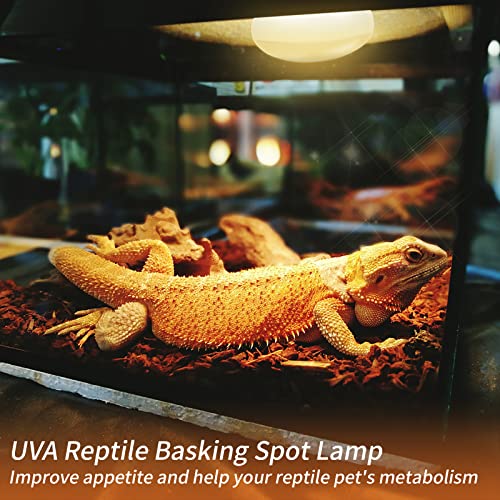 New Upgrade Reptile Heat Lamp Bulb (3rd Gen No Broken), 100W 2 Pack Basking Spot Light for Reptiles & Amphibians,UVA Daylight Heat Bulb for Bearded Dragon, Turtle - color: 100*2
