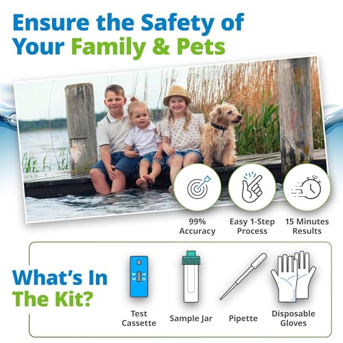 5Strands Blue Green Algae Test Kit (2 Pack), On Site Lake & Pond Water Testing, Water Safety Test, Algae Detection, Fast 10 Minute Results