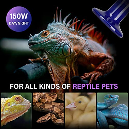 Simple Deluxe 150W 2-Pack Ceramic Heat Emitter Reptile Heat Bulb No Light, LCD Digital Aquarium Thermometer, for Reptile Amphibian, 2 Pack, Royal Blue