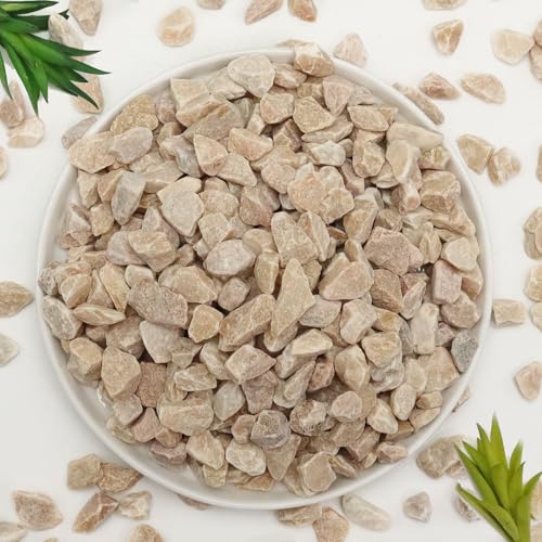 20lb Pea Gravels Natural River Rocks, Decorative Gravels for Plants-Small Pebbles-Ideal for Aquarium, Fish Tank, Vases, Succulents, Home Decor, Outdoor Garden Landscaping, Yellow Gravel - size: 20lb, style: Yellow Pea Gravel - decorative gravel for aquair
