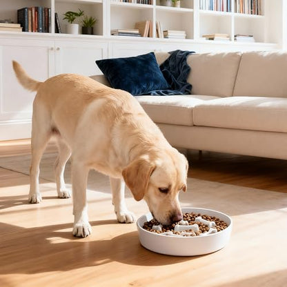 Ceramic Slow Feeder Dog Bowls, Ceramic Slow Feeder Maze Dog Food Bowl, Slow Eating Dog Bowl and Slow Feeder Dog Bowl Anti-Choking for Daily Pet Feeding （White Bone） - color: White Bone