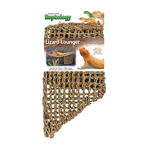 Penn-Plax Reptology Lizard Lounger Corner Triangle with Ladder– 100% Natural Seagrass Fiber – Great for Bearded Dragons, Anoles, Geckos, and Other Reptiles – Large - size: Large