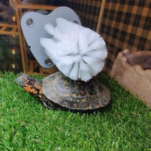DoubleWood Turtle Brush with Suction Cup for Tank, 2 Pcs Turtle Toys for Aquatic Tank, Turtle Tank Accessories, Turtle Scratcher for Tank Aquatic Turtle Toys (2 PCS)