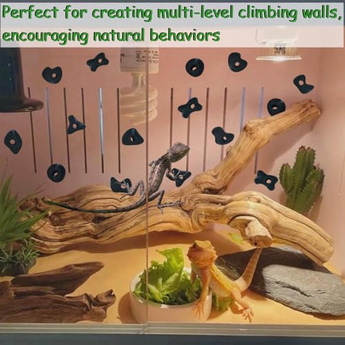 32PCS Rock Climbing Holds for Bearded Dragons Climbing Rock Wall Grips for Bearded Dragons Tank Accessories Reptiles Toy Rock Wall Holds (Not Glue) - color: Black