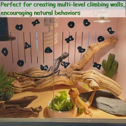 32PCS Rock Climbing Holds for Bearded Dragons Climbing Rock Wall Grips for Bearded Dragons Tank Accessories Reptiles Toy Rock Wall Holds (Not Glue) - color: Black