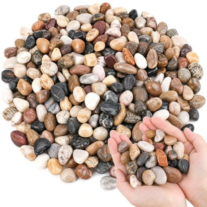 DOMESTAR River Rocks for Landscaping, 2LB Decorative Ornamental Pebbles | Garden Landscaping Stones Gravel for Vases Fish, Tank Succulent Potted Indoor Plants Crafts, Home Garden Decor