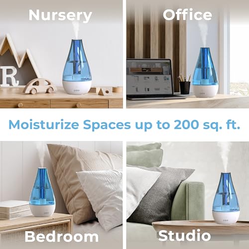 Pure Enrichment MistAire Studio Ultrasonic Cool Mist Humidifier - Small & Compact, Overnight Operation, 2 Mist Settings, Optional Night Light, & Auto Shut-Off - For Offices, Plants & Small Spaces - size: MistAire Studio (Small)