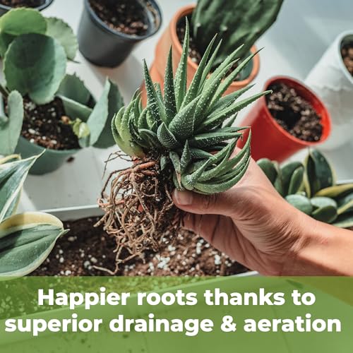 Perfect Plants Succulent & Cactus Soil, 8 qt, Organic Potting Mix | Fast draining blend of peat moss, composted pine bark, perlite and lime for the dry roots cacti love, resealable bag - size: 8 quarts