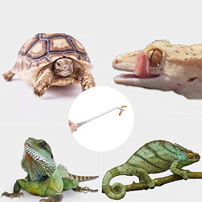 10.6 inch Reptile Feeding Tongs, 3 Pcs Tweezers Cricket Clamp Bug Scooper, Stainless Steel Straight and Curved Tweezers Set for Insects Lizard Turtle Snake Spider Frog Gecko Chameleon - size: 10.6 inch