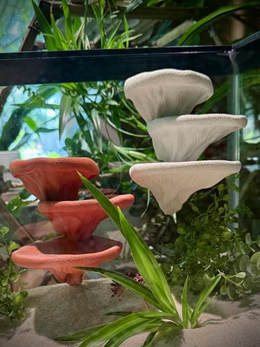 Mushroom Ledge for Terrarium – Climbing & Resting Platform with Suction Cups (Terracotta, 6''x4.5''x5.25'') - color: Terracotta