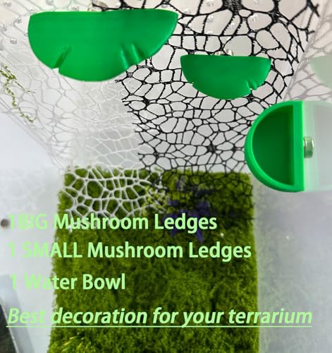 2 Pack Jumping Spider Accessories Mushroom Ledges & 1 Pack Water Bowl with Magnets for Spoods Jumping Spiders Magnetic Ledge Ladder Pet Spider Accessories - color: green