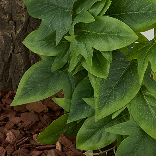 Fake Sweet Potato Vine, Reptile Climbing Hanging Suction Plants | For Crested Gecko Lizard Snake Terrarium Habitat - color: Fake Sweet Potato Vine