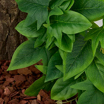 Fake Sweet Potato Vine, Reptile Climbing Hanging Suction Plants | For Crested Gecko Lizard Snake Terrarium Habitat - color: Fake Sweet Potato Vine