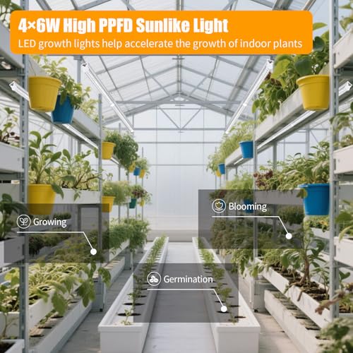 T5 1FT 0.3M 6W×4 White Light 5000K Grow Light Tubes,Full Spectrum LED Grow Lights,6W Energy Efficient,Plug & Play,for Hydroponics/Soil Seedlings Vegetables Herbs Flower (4 Packs) - color: White Light