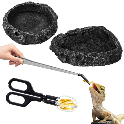 Jingmore 4 Pcs Bearded Dragon Food Bowl Set Reptile Snake Feeding Accessories Stainless Steel Reptile Feeding Tongs with Rubber Clamp for Bearded Dragon Lizard