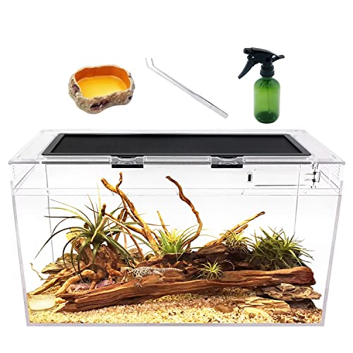 Reptile Growth Reptile Terrarium,10 Gallon Reptile Tank 20" x 10"x 11",for Insect，Fish，Tarantula，Hermit Crab，Jumping Spider，Iguana，Tortoise，Leopard Gecko，Bearded Dragon - size: 20" x 10"x 11"