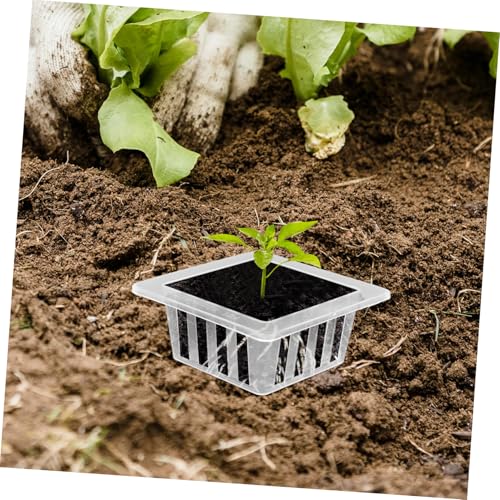 Toyvian 20pcs Transparent Square Hydroponic Mesh Pots for Planting Root Stabilizer Tool for Vegetables Flowers Herbs Material Efficient Drainage System