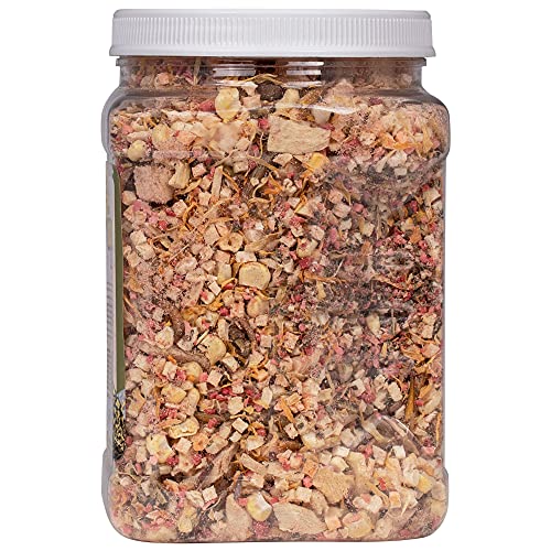 Healthy Herp Box Turtle Food Instant Meal for Reptiles - Nutritious Turtle Food, Tortoise Habitat Accessories, Tortoise Food - Made in USA, Quick Prep - 10.5 oz (310g) - size: 10.5 Ounce (Pack of 1), style: Jar