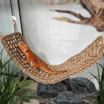 Bearded Dragon Lizard Hammock Reptile Lounger 30"*8" 1Pcs,100% Natural Seagrass Bed and Cage Terrarium Tank Accessories for Geckos,Snakes,Chameleon,Hermit Crab,Axolotl,Iguana