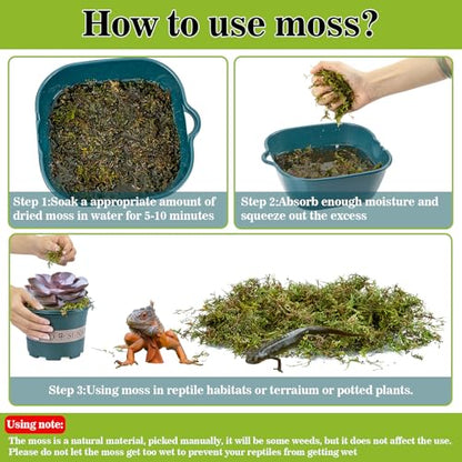Sukh Sphagnum Moss for Reptiles - Terrarium Reptile Moss Substrate, 15.8 OZ | Habitat Bedding for Snake, Gecko, Turtle, Frog, Bearded Dragon, Jumping Spider, Chameleon, Enclosure & Tank Accessories Decor - size: 15.8 Ounces