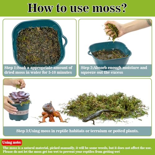 Sukh Sphagnum Moss for Reptiles - Terrarium Reptiles Moss Green Dried Peat Moss Habitat Bedding Moss for Snakes Turtle Frog Gecko and Other Reptiles Substrate (30, Ounces) | Habitat Bedding for Gecko, Snake, Turtle, Frog, Bearded Dragon, Jumping Spider, C