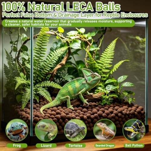 Riare 6LBS Expanded Clay Balls Terrarium Substrate for Reptiles - 100% Organic Lightweight Clay Pebbles Substrate Frogs False Bottom Substrate, Bioactive Terrarium Substrate for Drainage and Moisture - color: 6LB