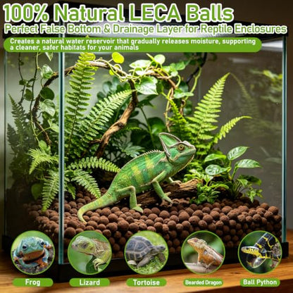 Riare 6LBS Expanded Clay Balls Terrarium Substrate for Reptiles - 100% Organic Lightweight Clay Pebbles Substrate Frogs False Bottom Substrate, Bioactive Terrarium Substrate for Drainage and Moisture - color: 6LB
