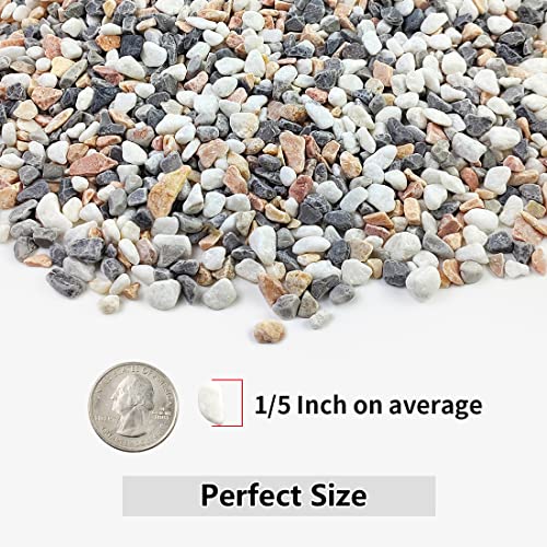 5LB Succulent and Cactus Gravel Pebbles, 1/5 Inch Mixed Color | Natural Decorative Polished Stones River Rocks for Vases, Aquariums, Terrarium and Outdoor Gardening - color: Mixed, size: 5 Pounds
