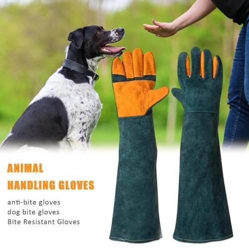 suade Gauntlet Protectors - Animal Handling Gloves, High Temperature Oven Grill Stove Shield, Cut Resistant Accessory Case - color: C