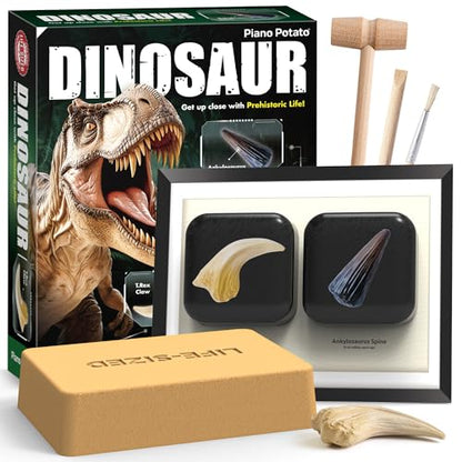 Dinosaur Dig Kit - Excavate 2 Life-Sized Fossils (T.Rex Claw & Ankylosaurus Spine) - STEM Authenticated Science Toy with Tools & Display Frame - Gifts for Boys & Girls Ages 6-12 - size: T.Rex Claw & Ankylosaurus Spine